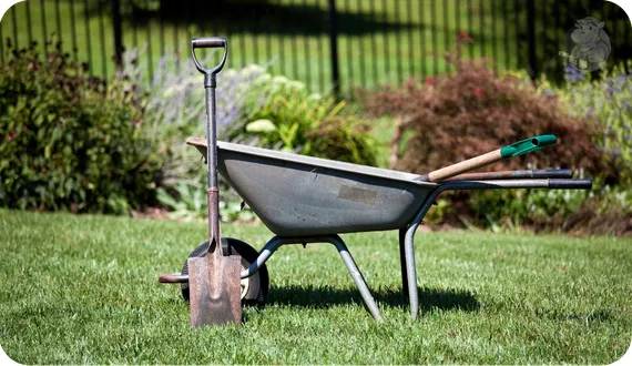 narzędzia ogrodnicze niezbędne w każdym ogrodzie